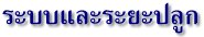 ระบบและระยะปลูก
