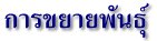 การขยายพันธุ์