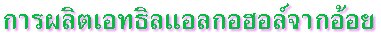 การผลิตแอลกอฮอล์จากอ้อย