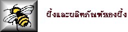 ผึ้งและผลิตภัณฑ์ของผึ้ง