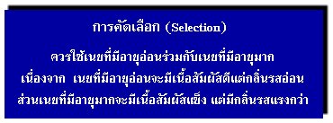 การคัดเลือก
