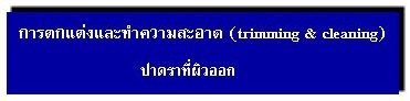 การตกแต่งและทำความสะอาด