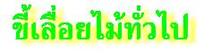 ขี้เลื้อยไม้ทั่วไป