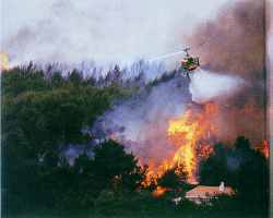 ภาพไฟป่า
