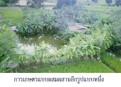 การ<wbr>เกษตร<wbr>แบบ<wbr>ผสม<wbr>ผสาน<wbr><wbr>